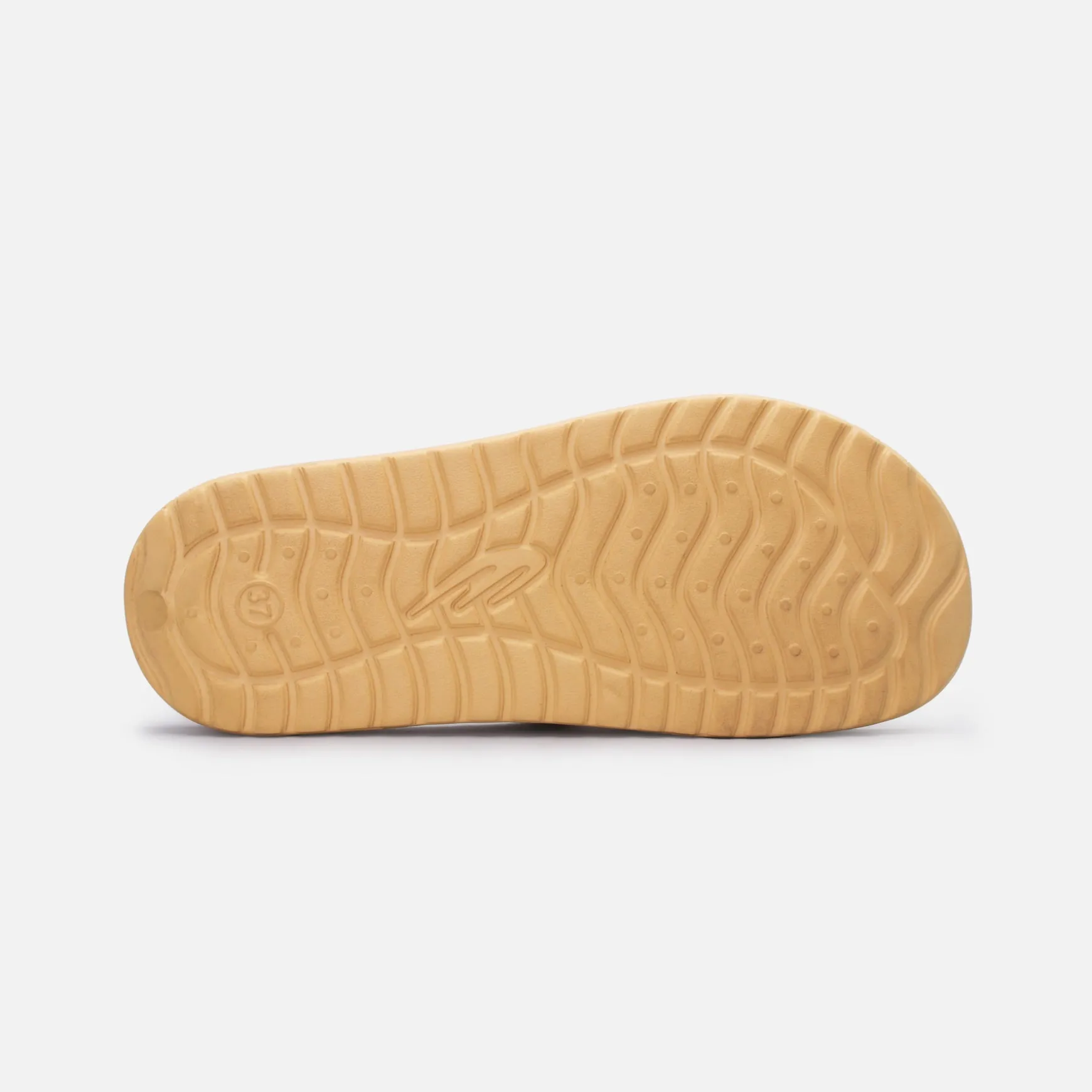 COAST SLIDER