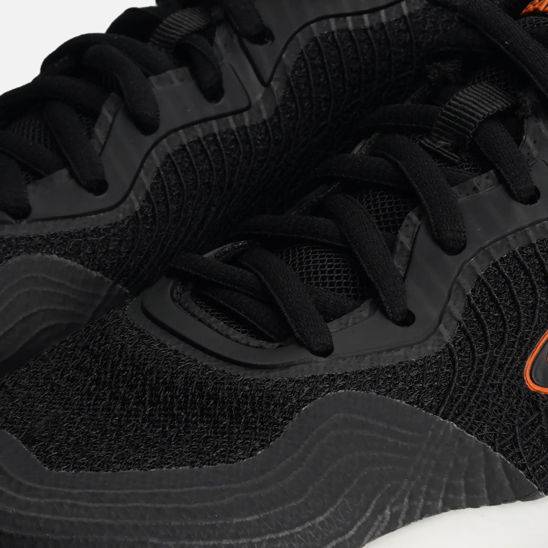 CORVUS TRAINER L