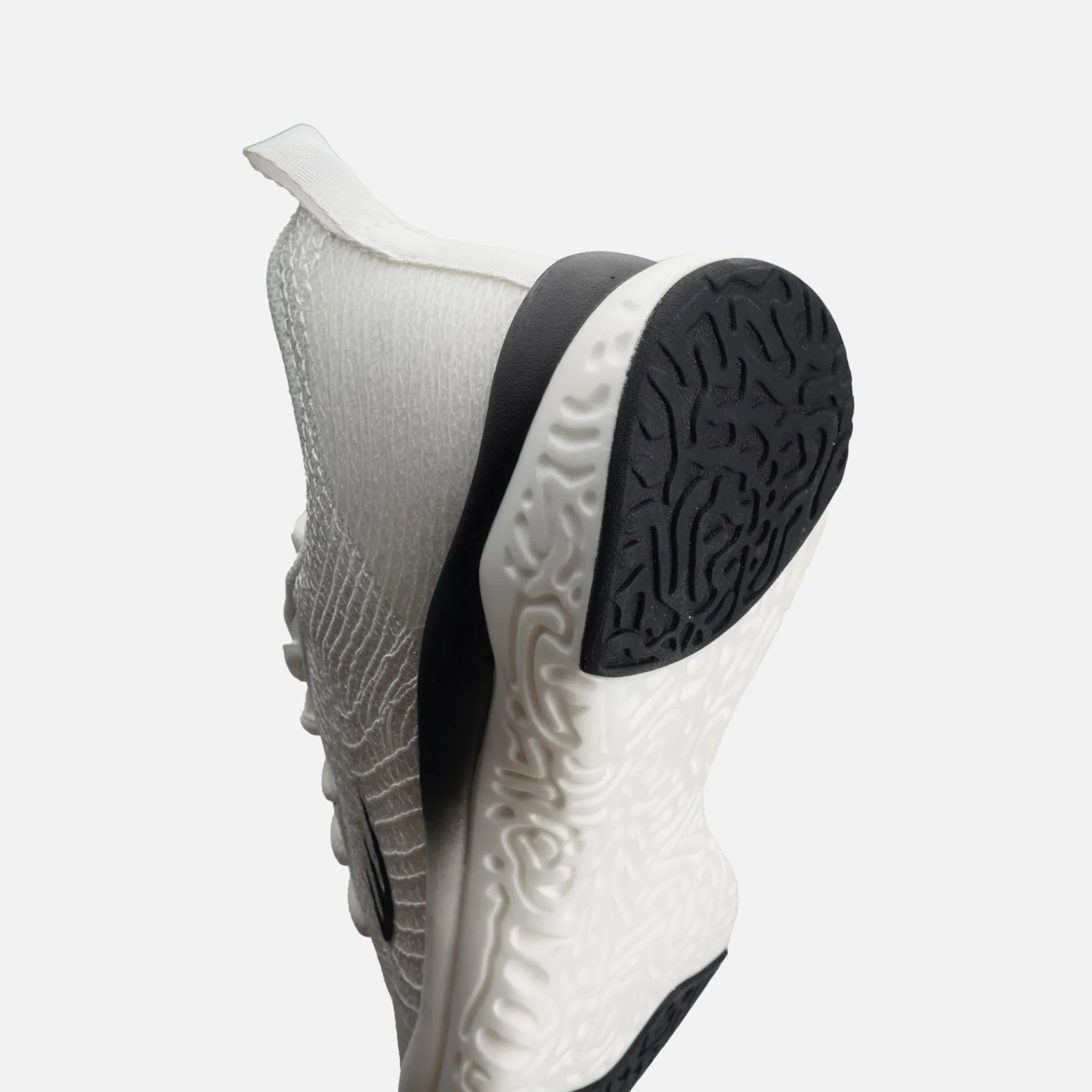 CORVUS TRAINER L
