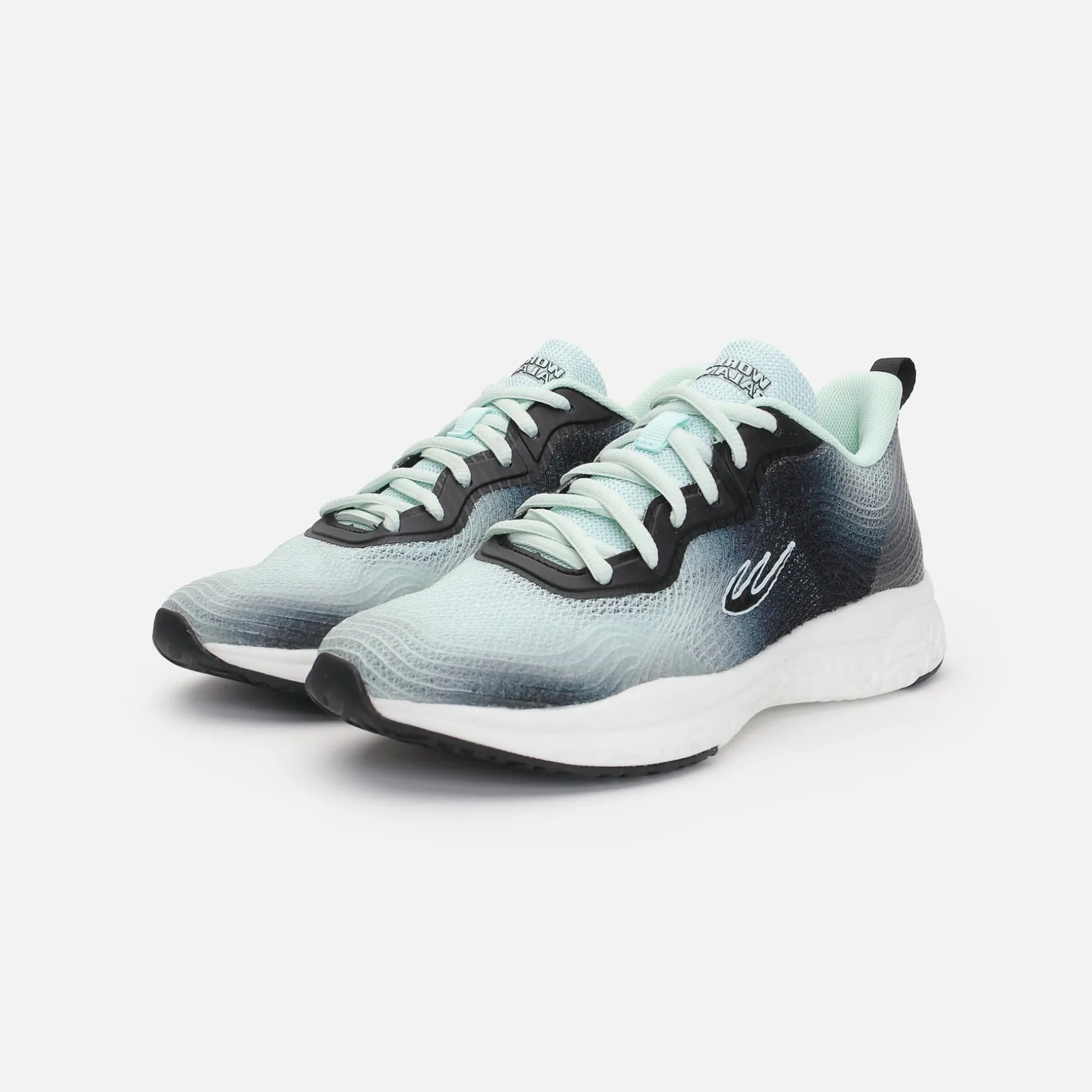 CORVUS TRAINER L