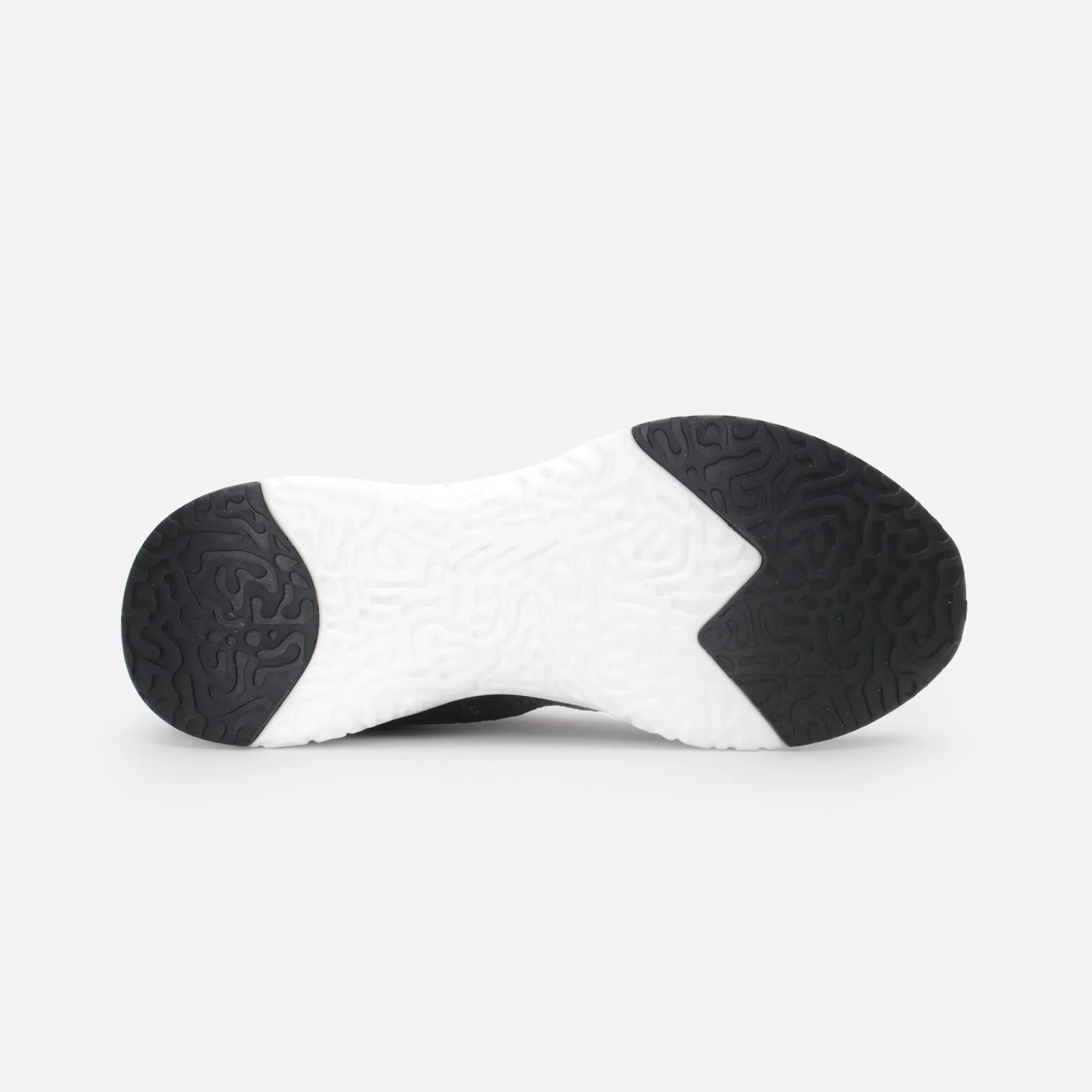 CORVUS TRAINER L