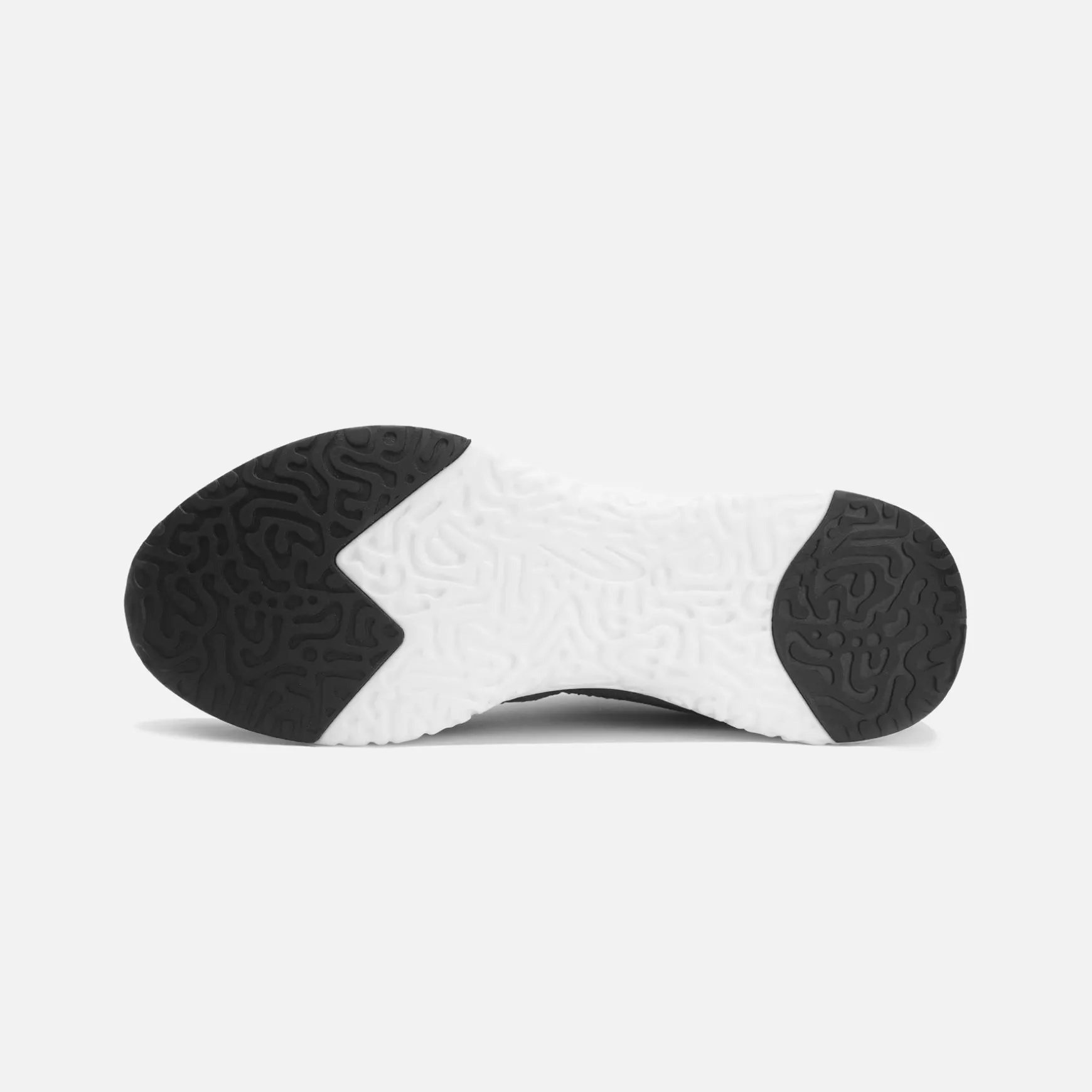 CORVUS TRAINER M