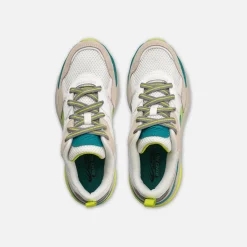 MEGA PACER BB