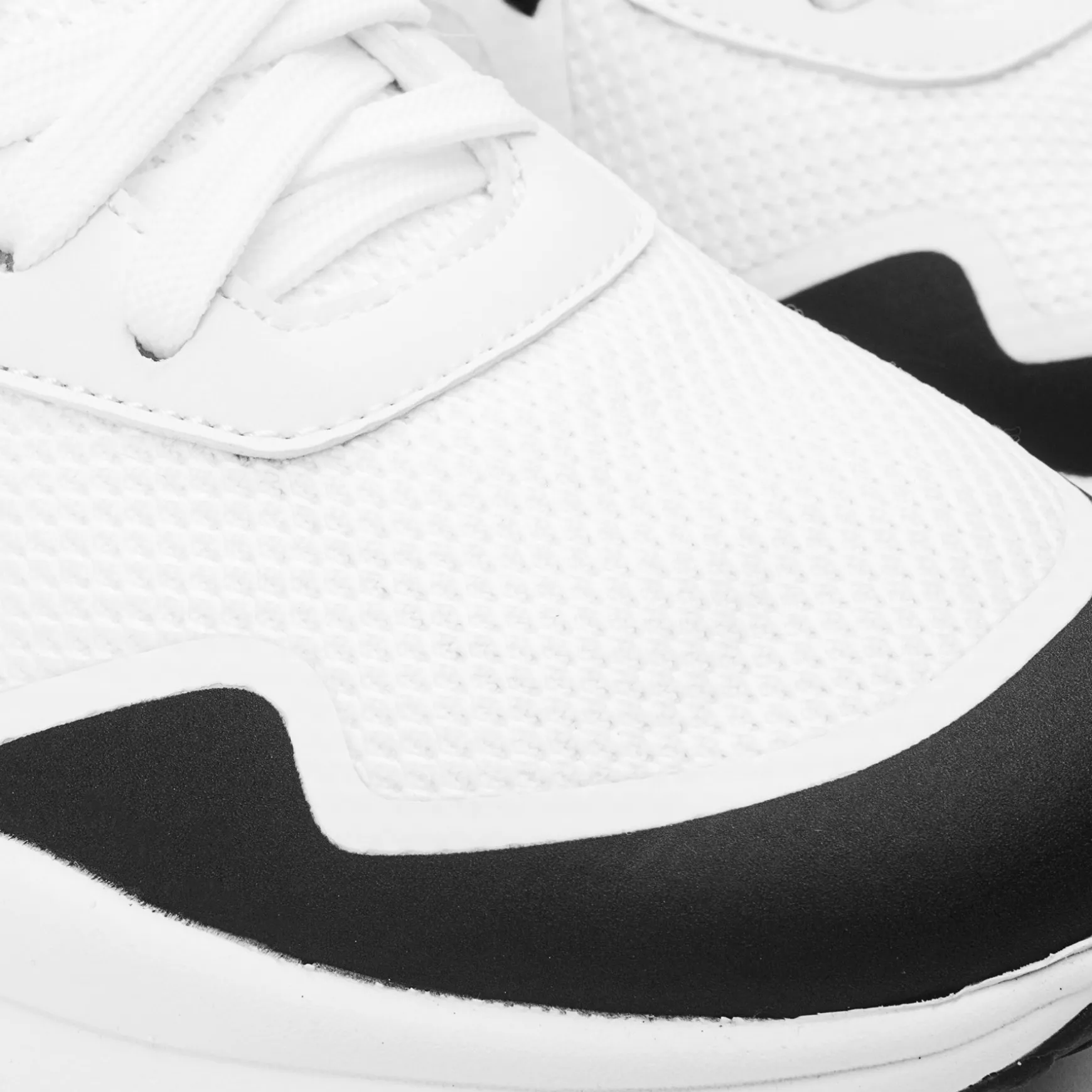 VELA TRAINER