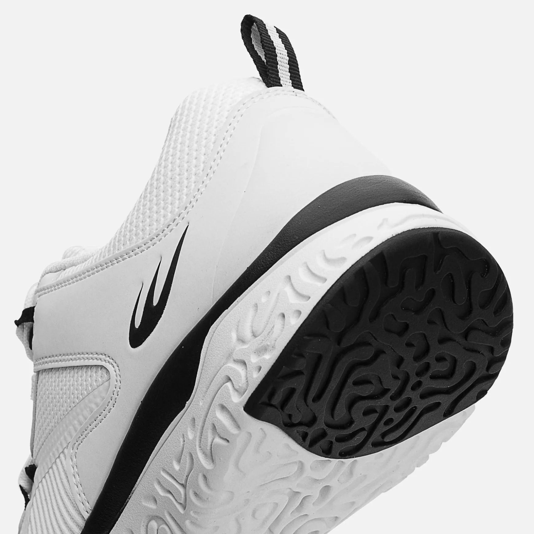 VELA TRAINER
