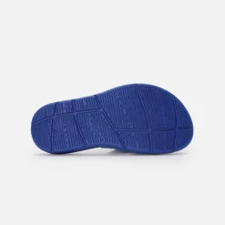 WAYFARER BB