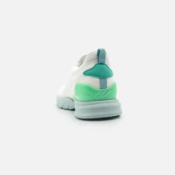 ZETA RUNNER L
